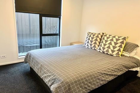 Photo of property in 29 Edwin Ebbett Place, Wigram, Christchurch, 8025