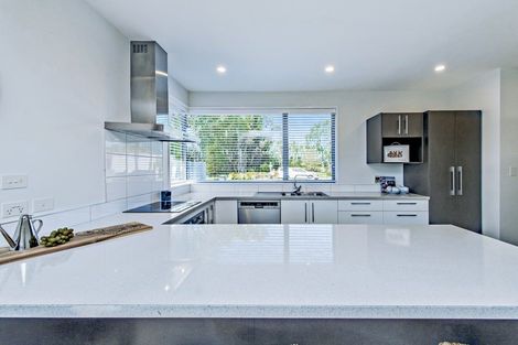 Photo of property in 36 Liffey Springs Drive, Lincoln, 7608