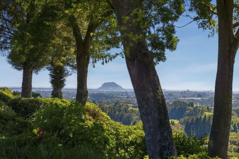 Photo of property in 179b Crawford Road, Minden, Tauranga, 3171