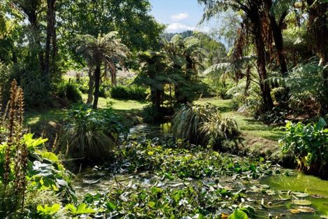 Photo of property in 50 Kent Crescent, Waihi, 3610