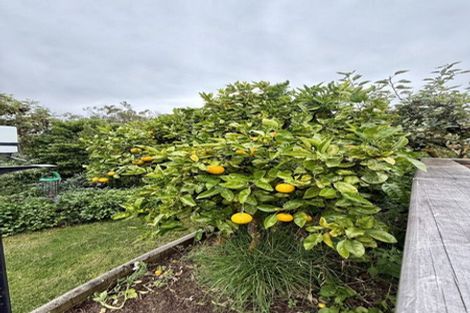 Photo of property in 19 Bath Street, Brighton, Dunedin, 9035