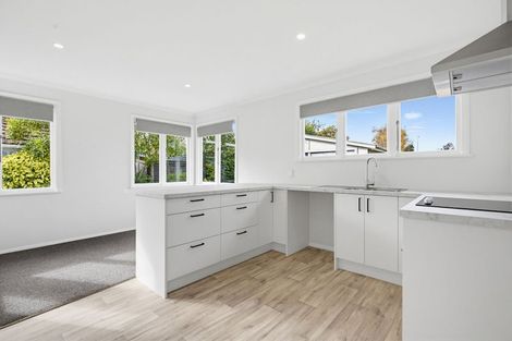 Photo of property in 49 Percy Street, Blenheim, 7201