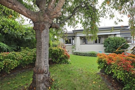 Photo of property in 501 Charles Street, Saint Leonards, Hastings, 4120