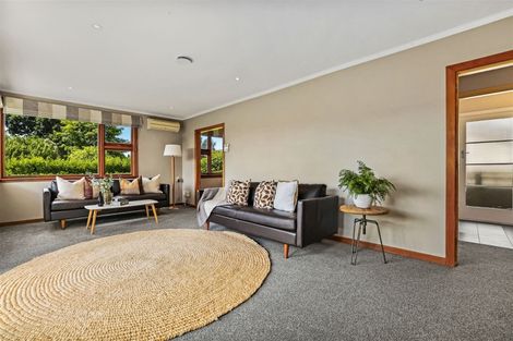 Photo of property in 133 Lyttelton Street, Spreydon, Christchurch, 8024