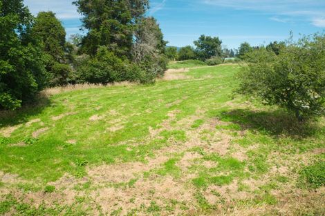Photo of property in 22 Upper Kokatahi Road, Kokatahi, Hokitika, 7881
