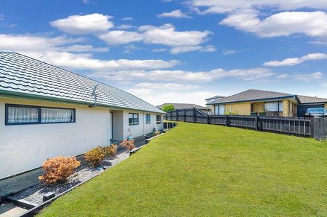 Photo of property in 96 Pitt Avenue, Clendon Park, Auckland, 2103