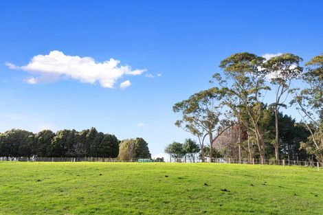 Photo of property in 137 Shelly Beach Road, Shelly Beach, Helensville, 0874