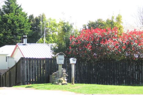 Photo of property in 255a Ohauiti Road, Ohauiti, Tauranga, 3112