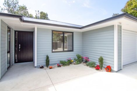 Photo of property in 22a Alfred Street, Roslyn, Palmerston North, 4414