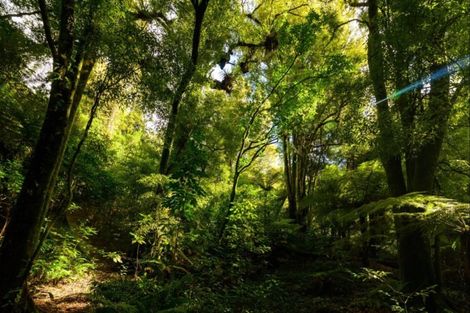 Photo of property in 1 State Highway 30, Lake Rotoma, Rotorua, 3074