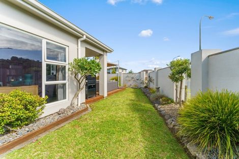 Photo of property in 125 Solomon Street, Brookfield, Tauranga, 3110