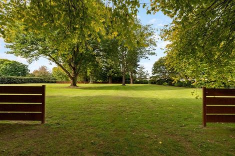Photo of property in 59c Western Avenue, Omokoroa, 3114