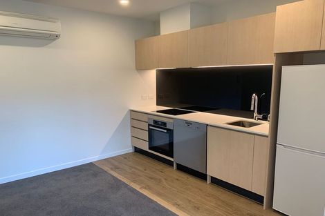Photo of property in 213/428 Dominion Road, Mount Eden, Auckland, 1024