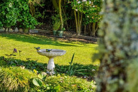 Photo of property in 533 Wainui Road South, Whakamarama, Tauranga, 3180