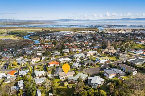 Photo of property in 109 Kingsford Place, Thames, 3500