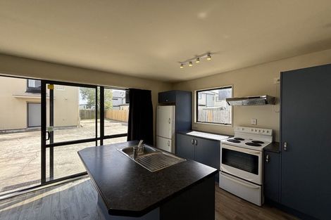 Photo of property in 102 Elizabeth Street, Riccarton, Christchurch, 8041