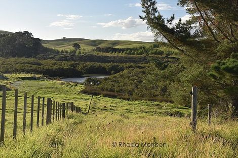 Photo of property in 21 Matahehe Lane, Tinopai, 0593