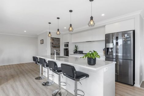 Photo of property in 168 Boucher Avenue, Te Puke, 3119