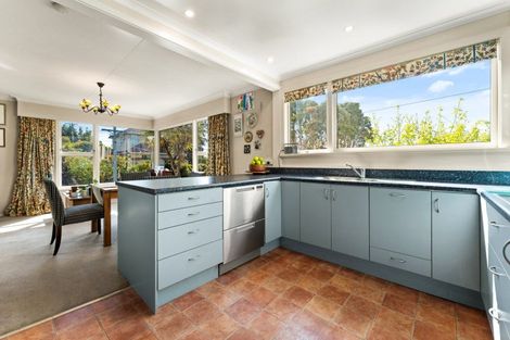 Photo of property in 16 Leven Street, Roslyn, Dunedin, 9010