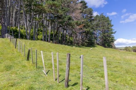 Photo of property in 1310 Old North Road, Helensville, 0875