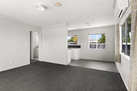 Photo of property in 207a Wolseley Street, Mayfair, Hastings, 4122