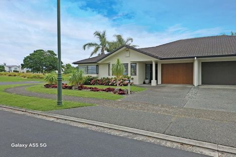Photo of property in 45 Riverstone Road, Te Atatu Peninsula, Auckland, 0610