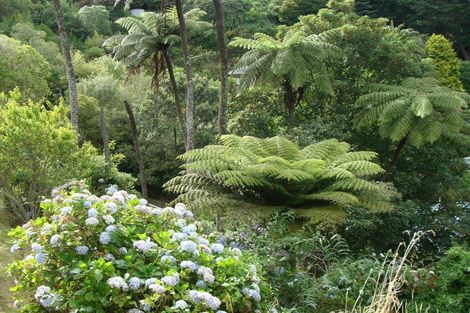 Photo of property in 11 Plunket Street, Kelburn, Wellington, 6012