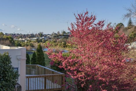 Photo of property in 110 Coopers Road, Gate Pa, Tauranga, 3112