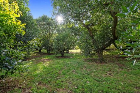 Photo of property in 496 Waitao Road, Waitao, Tauranga, 3175