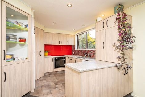 Photo of property in 23 Quarry Road, Green Island, Dunedin, 9018