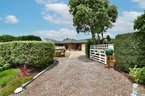 Photo of property in 57 Shelly Beach Road, Shelly Beach, Helensville, 0874