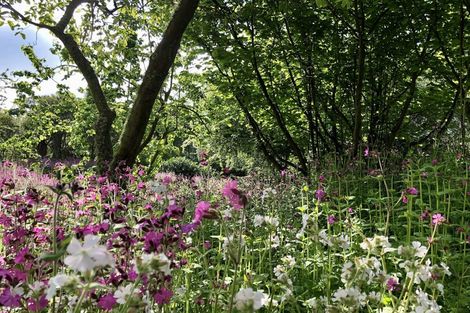 Photo of property in 22 Tenby Street, Moeraki, Palmerston, 9482