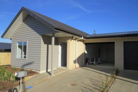 Photo of property in 17 Taotahi Avenue, Dinsdale, Hamilton, 3204