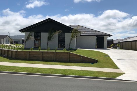 Photo of property in 44 Matariki Terrace, Ngaruawahia, Hamilton, 3288