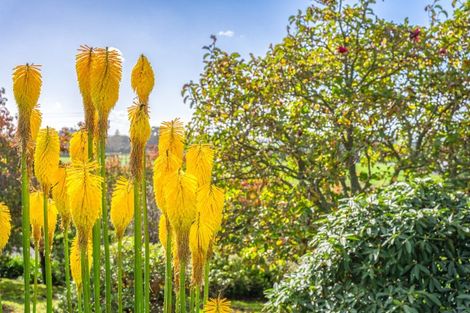 Photo of property in 26 Blackburne Road, Te Horo, Otaki, 5582
