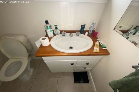 Photo of property in 7 Otahuri Crescent, Greenlane, Auckland, 1051