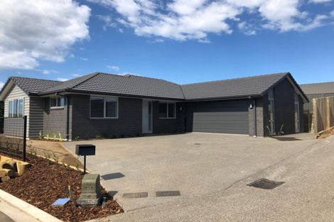 Photo of property in 1 Cascade Way, Omokoroa, 3114
