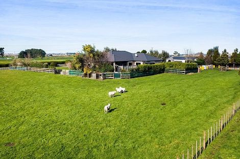 Photo of property in 393 Ketemarae Road, Normanby, Hawera, 4675
