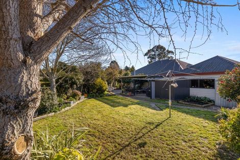 Photo of property in 7 Martin Terrace, Witherlea, Blenheim, 7201