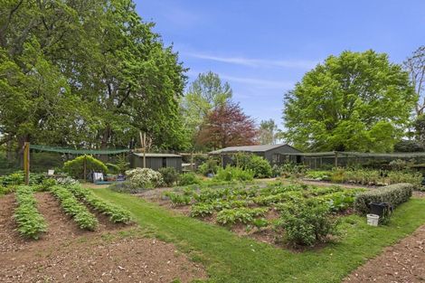 Photo of property in 253 Kaipaki Road, Ohaupo, 3881