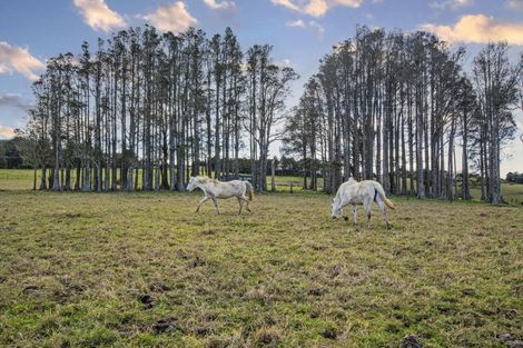 Photo of property in 99 Franklin Road, Parua Bay, Onerahi, 0192
