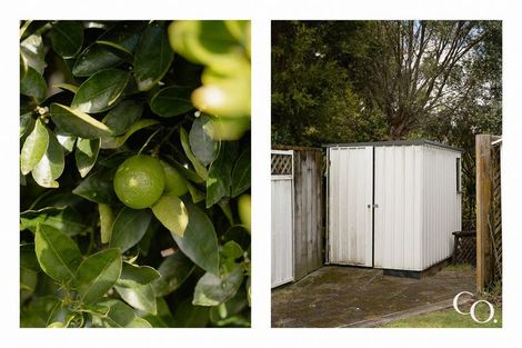 Photo of property in 53 Te Hono Street, Maungatapu, Tauranga, 3112