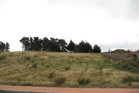 Photo of property in 16 Highgrove, Saint Clair, Dunedin, 9012