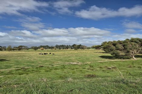 Photo of property in 50b Painua Road, Hokio Beach, Levin, 5571