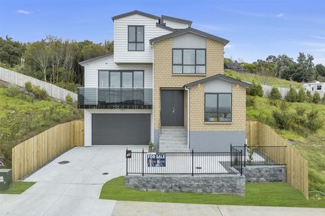 Photo of property in 19 Elevation Street, Flat Bush, Auckland, 2019