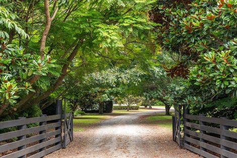 Photo of property in 116 Tuapiro Road, Tahawai, Katikati, 3170