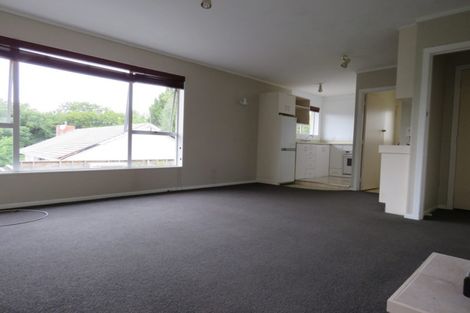 Photo of property in 14a Tainui Street, Frankton, Hamilton, 3204
