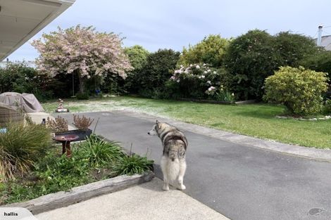 Photo of property in 256 King Street, Rangiora, 7400