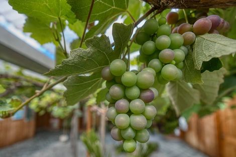 Photo of property in 210 Keogans Road, Arahura Valley, Hokitika, 7882