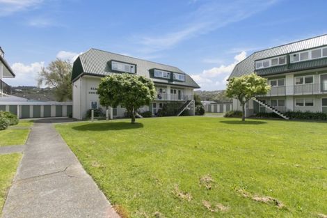 Photo of property in 5/21 Britannia Street, Petone, Lower Hutt, 5012